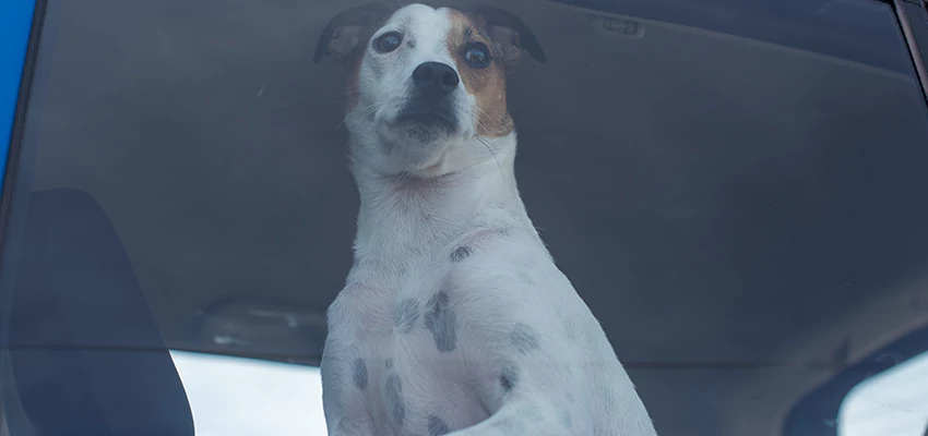 Car Lockout Solutions in Orland, California