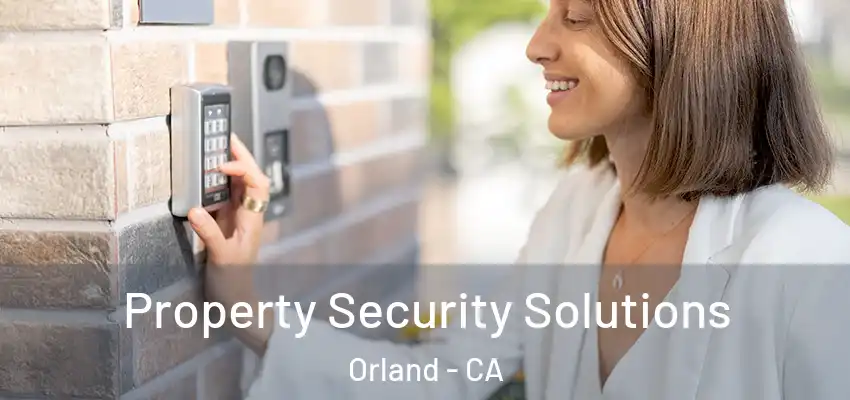  Property Security Solutions Orland - CA
